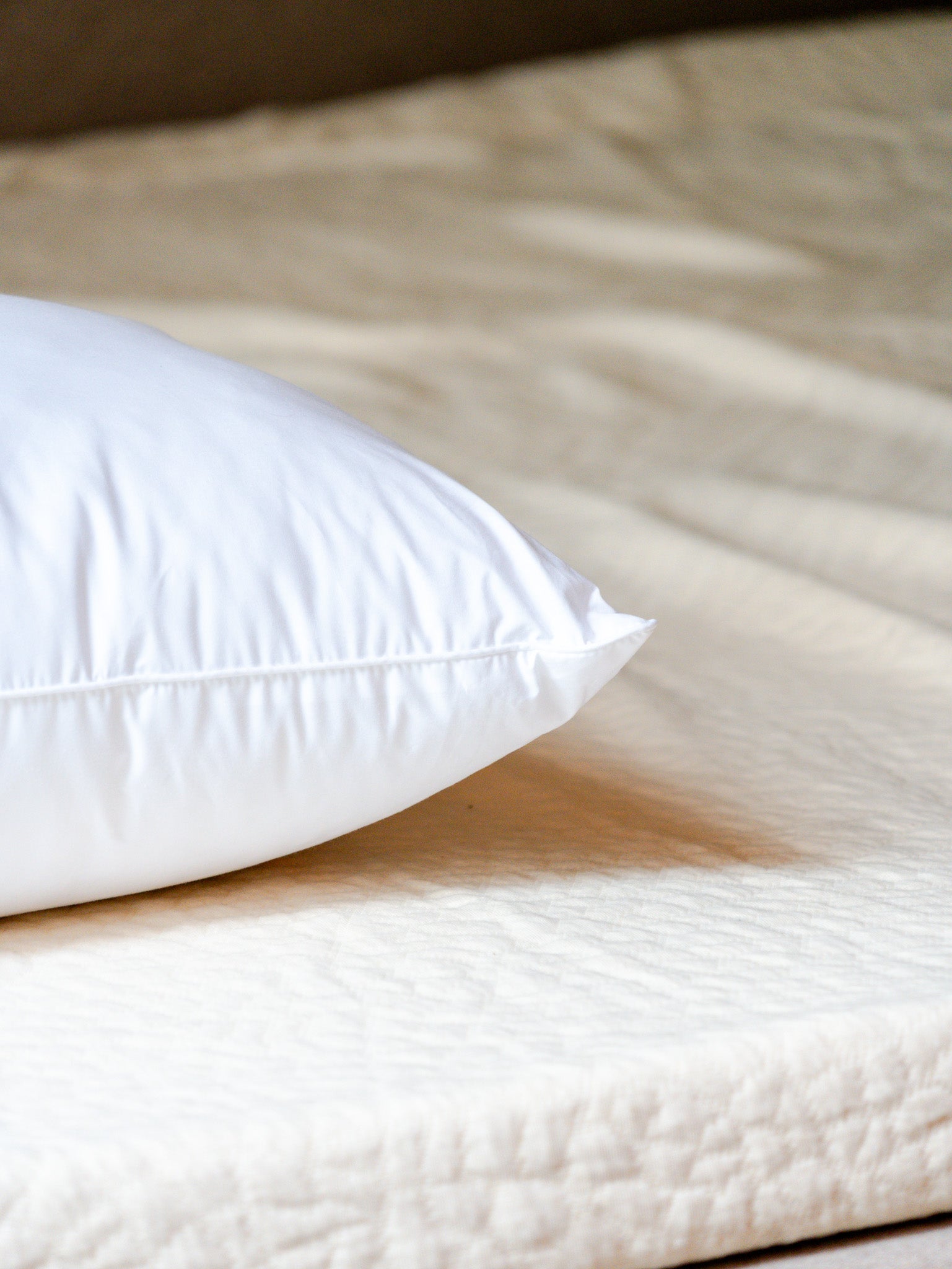 Pude - Skum | Allerban 60x45