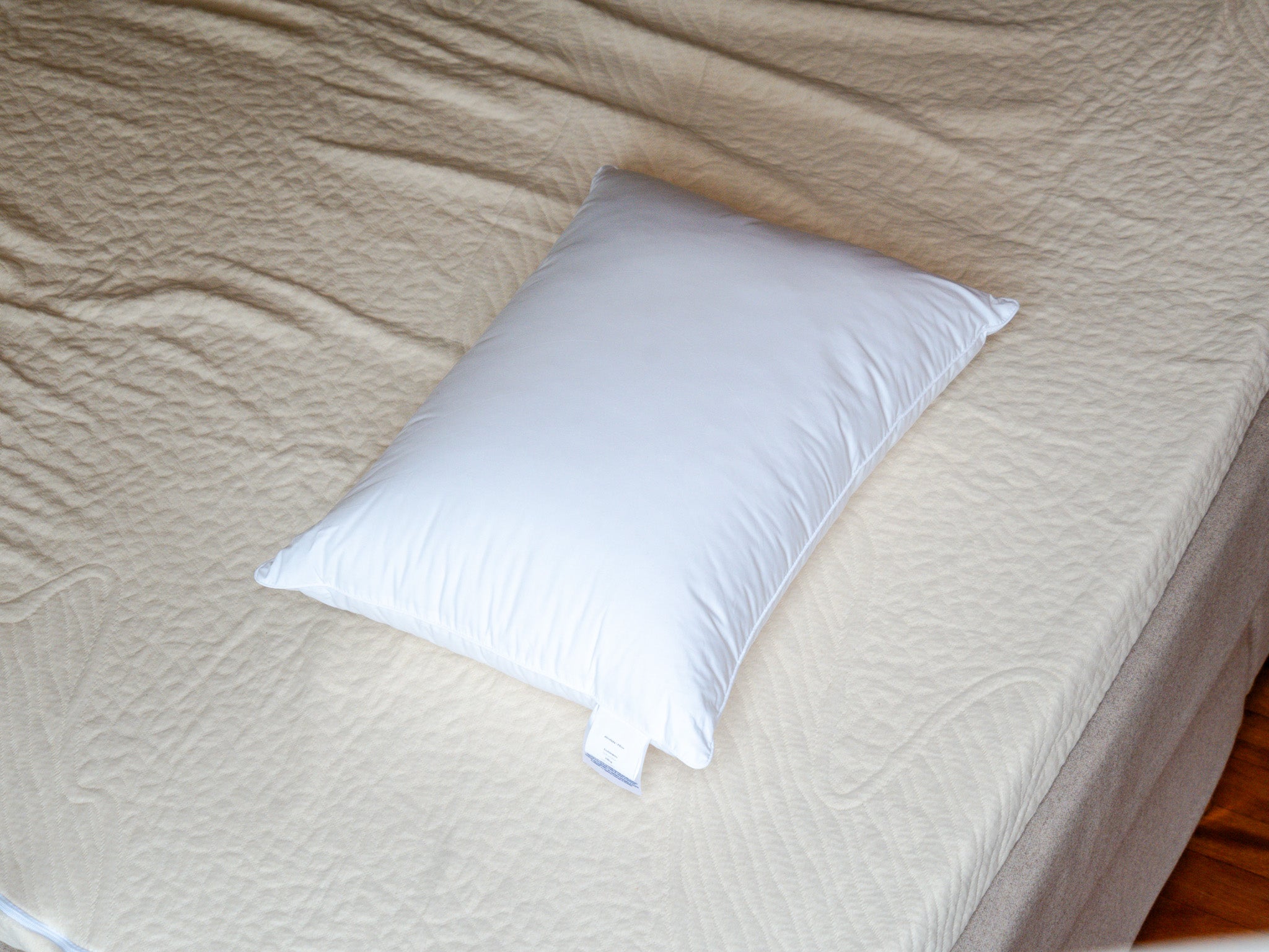 Pude - Skum | Allerban 60x45