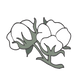 Bomuldscambric
